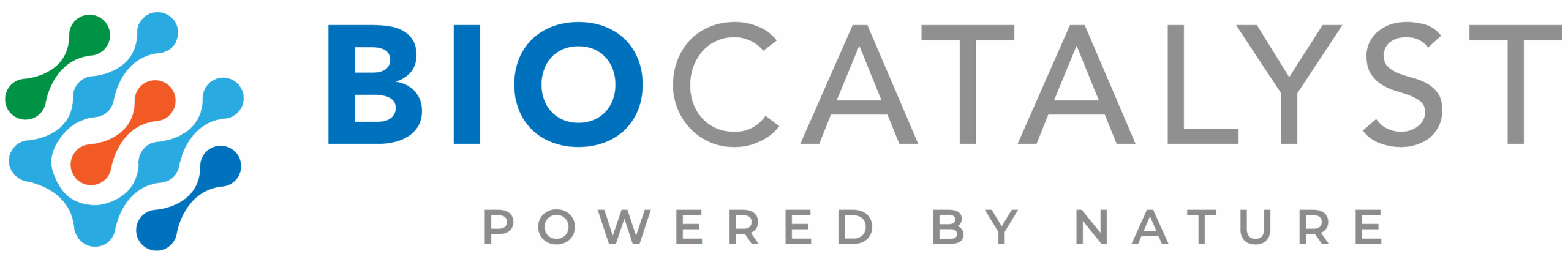 Logo Img