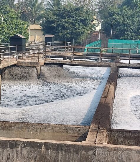 Dissolved Oxygen Increase