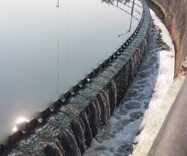 Municipal Wastewater Treatment: Unlocking Efficiency with Bio-Catalytic Technology