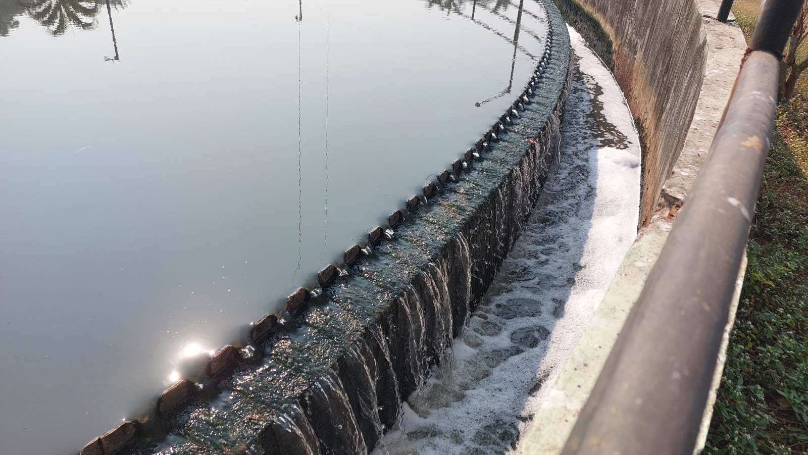 Municipal Wastewater Treatment: Unlocking Efficiency with Bio-Catalytic Technology