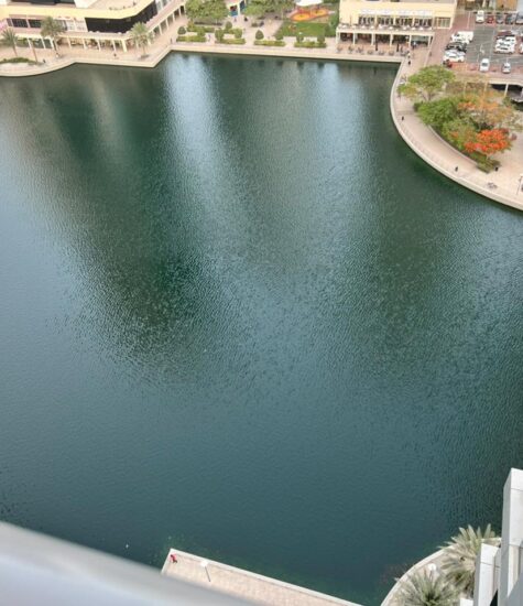 Bio Catalyst Lake Management in Dubai