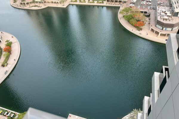 Bio Catalyst Lake Management in Dubai