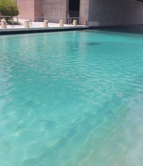 Bio Catalyst Lake Treatment After