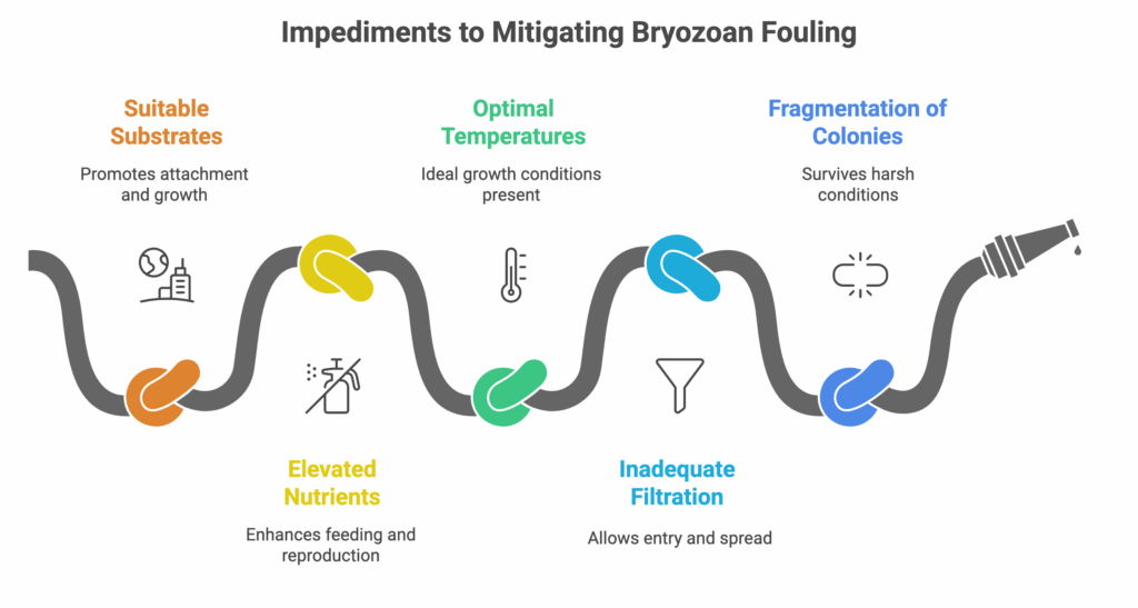 Bio Catalyst Root Causes of Bryozoan Fouling