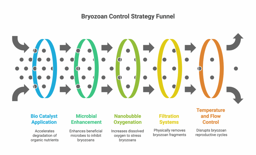 Bio Catalyst Bryozoans Solutions